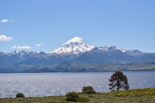Lake Huechulafquen and Lanin Volcano Day Trip