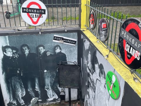 Private Icelandic Punk History Experience, photo 5