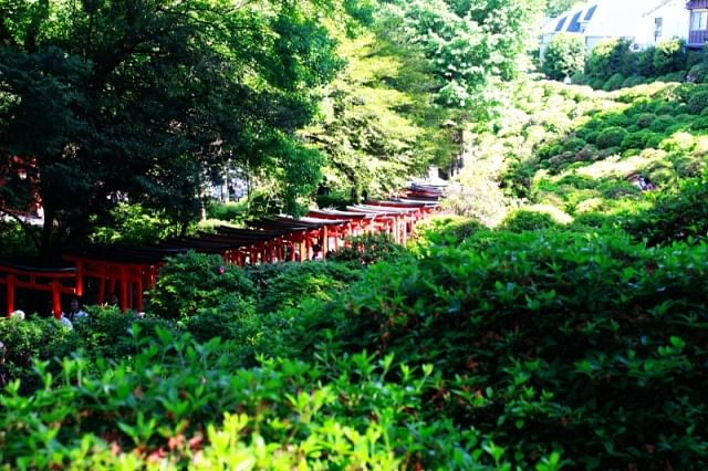 Ueno, Yanaka, Sendagi Heritage Guided Walking Tour