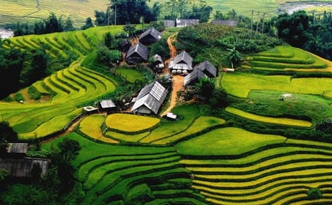 Authentic Sapa Trekking With Local Family Homestay (2d1n by bus)