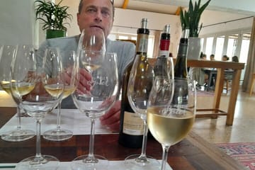 Private Wine Tasting and Pairing Tour in Stellenbosch