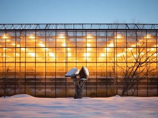 Friðheimar greenhouse glowing at night in Iceland with lights inside