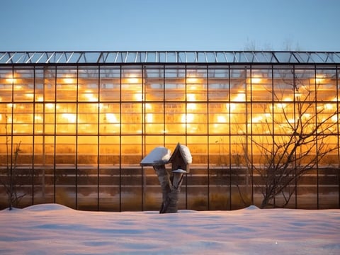 Friðheimar greenhouse glowing at night in Iceland with lights inside