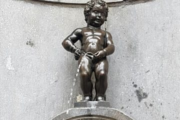 Brussels Day Trip from Amsterdam with Guided Tours and Transport