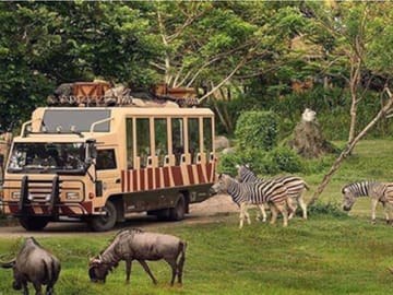 Private City and Safari Park Tour in Dubai