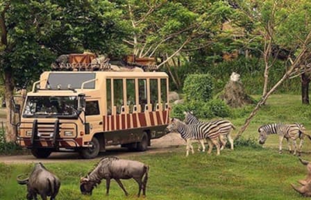 Private City and Safari Park Tour in Dubai