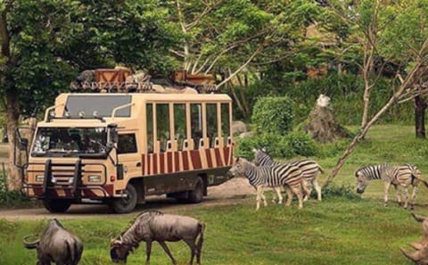 Private City and Safari Park Tour in Dubai