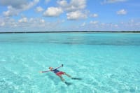 Cozumel Snorkeling Adventure full day Tour 3