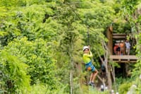 Family Adventure Day: Ziplining, Cenote Swim, Waterfall & Monkeys 6