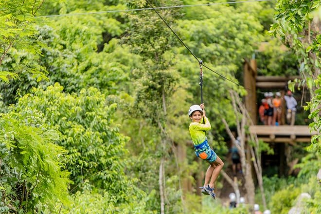 Family Adventure Day: Ziplining, Cenote Swim, Waterfall & Monkeys 6