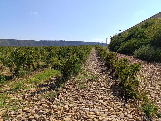 Three Day Rioja Wine Experience - Photo 23