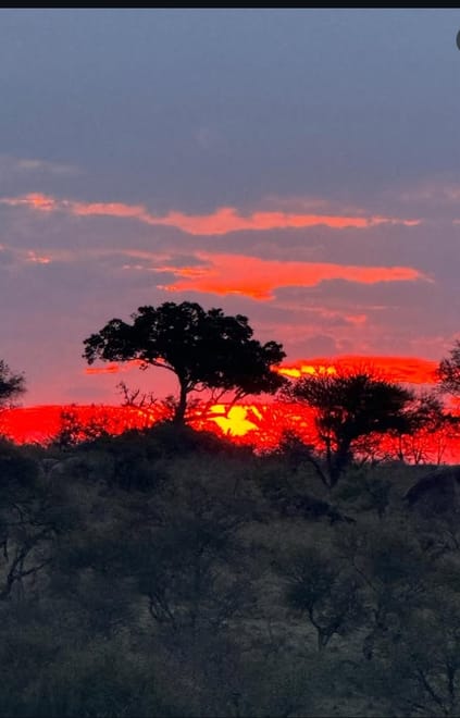 6 Days Southern Tanzania Safari photo 5