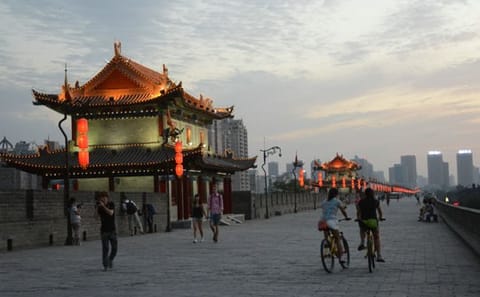 Terra-cotta Warriors and Giant Panda 3 Days 2 Nights Trip