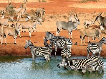 Tsavo West & East National park