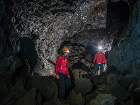 Whale Watching & Caving, photo 2