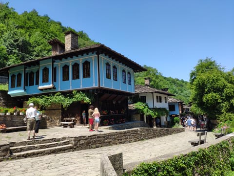 Skip the Line: Tour in Open Air Ethnographic Museum ETAR + ticket