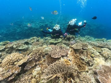 SCUBA Diving Experience with Two Dives in Nago, Okinawa