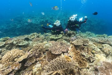 SCUBA Diving Experience with Two Dives in Nago, Okinawa
