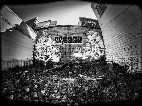 Private Reykjavik Street Art Backstreets and Stories , photo 3
