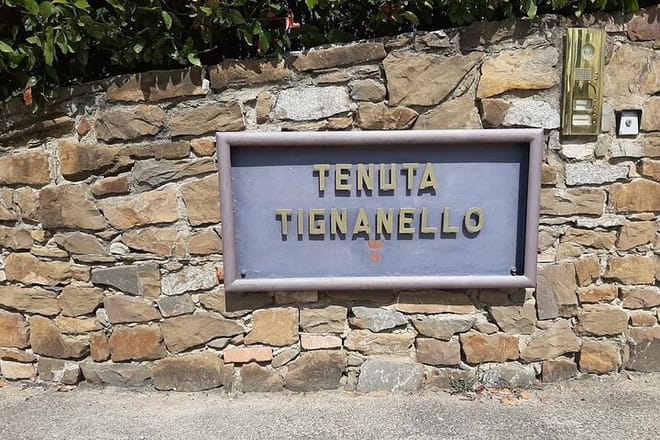 PRIVATE Full-Day Wine Experience in Chianti Classico. 9
