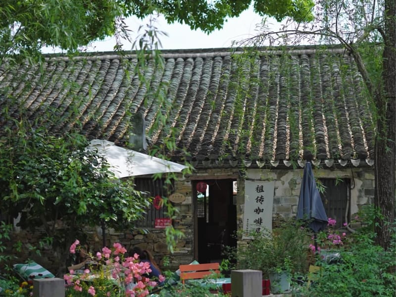 Hangzhou: Minghe Town & Bayberry Picking Private Day Trip