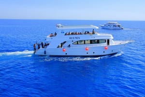 Ras Mohammed & White Island VIP Boat with Snorkeling and Diving