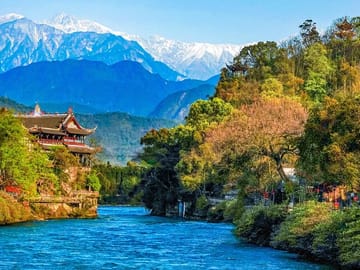 Dujiangyan irrigation+Mt. Qingcheng or Panda Park Day Tour