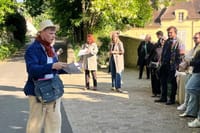 The Last Days of Vincent Van Gogh 1