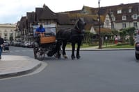 Private transfer from Paris to Deauville Trouville 5