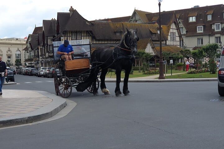 Private transfer from Paris to Deauville Trouville 5