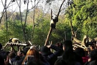 Private Chengdu Panda Base Day Tour by Round-way Flight from Shenzhen 2