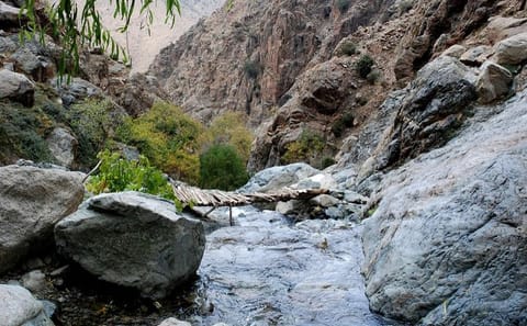 Private 1-Night Tour of Atlas Mountains and Essaouira from Marrakesh