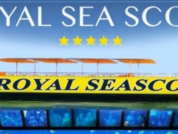 Semi-Submarine and Snorkeling in Sharm El Sheikh