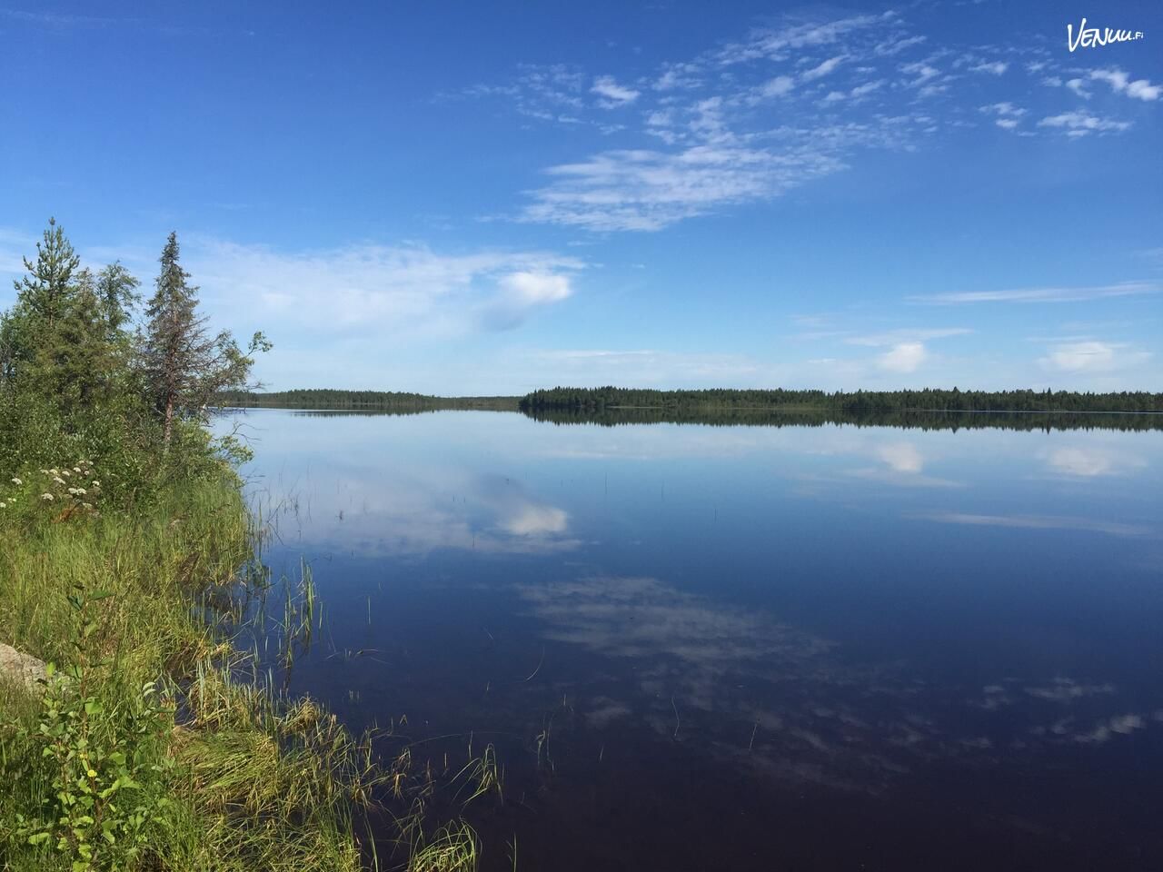 Scenic view of a calm lake with reflections of the sky and surrounding forest, photographed from the shoreline
