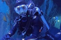Dubai Aquarium + underwater Zoo &amp; Penguin Cove