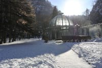 Bakuriani ski resort and the legendary Borjomi (Group Tour) 8