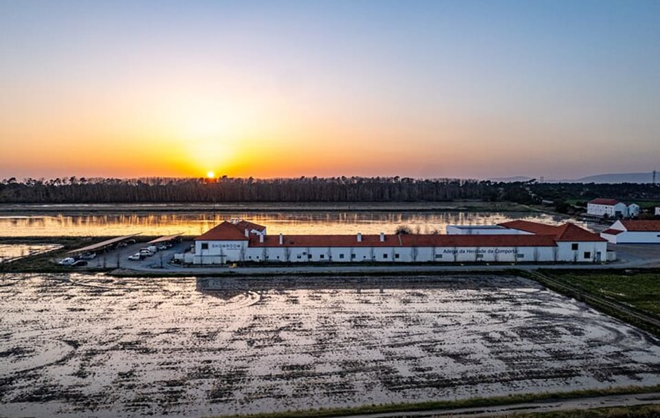 Private Arrábida and Comporta Wine Full Day Tour From Lisbon