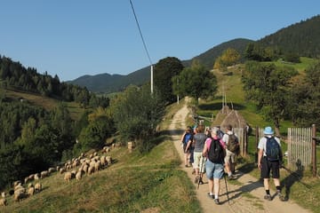 8-Day Cultural and Hiking Tour in Transylvanian Villages