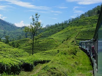 Hill Country Train Journey in Colombo, Sri Lanka