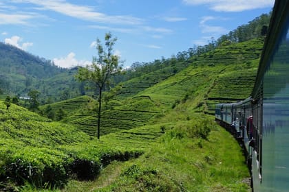 Take a Hill Country Journey on the Rail Tracks