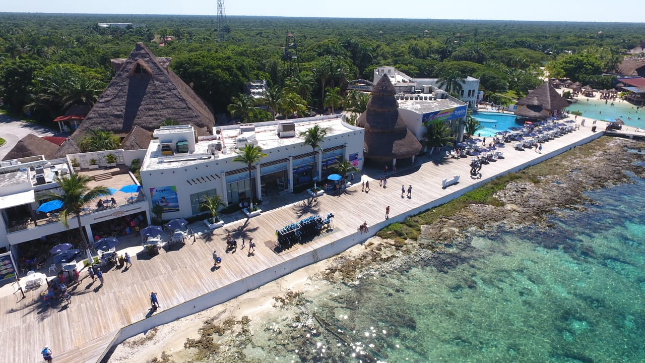  Sea Lion Discovery at Cozumel  9