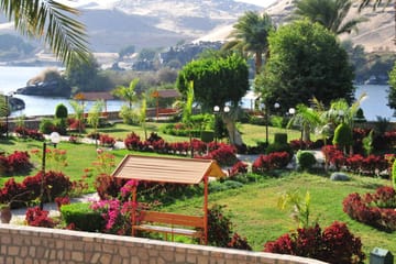 Explore Aswan Botanical Garden on a Guided Nature Tour