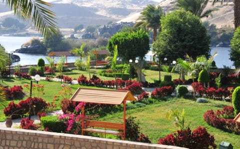 Explore Aswan Botanical Garden on a Guided Nature Tour
