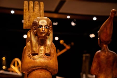 Guided Exploration of Egypt’s National Museum of Civilization