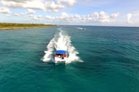 Excursión de un día a la Isla Saona desde Punta Cana con almuerzo 10