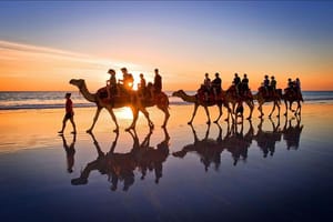 Camel ride Experience in Djerba Lagoon