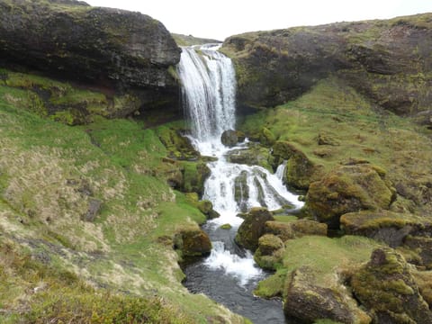 Snæfellsnes Peninsula Private Tour – Full-Day Adventure, photo 5