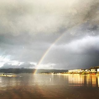 Manzanita