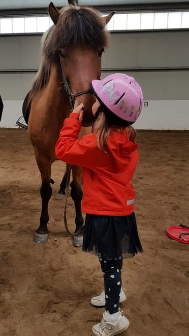 Stable Visit