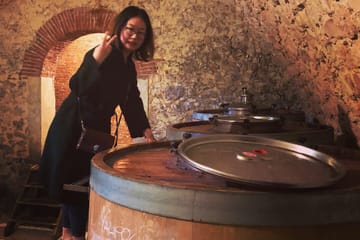 Champagne Tasting Experience at Tenuta Santa Maria Valverde, Marano di Valpolice